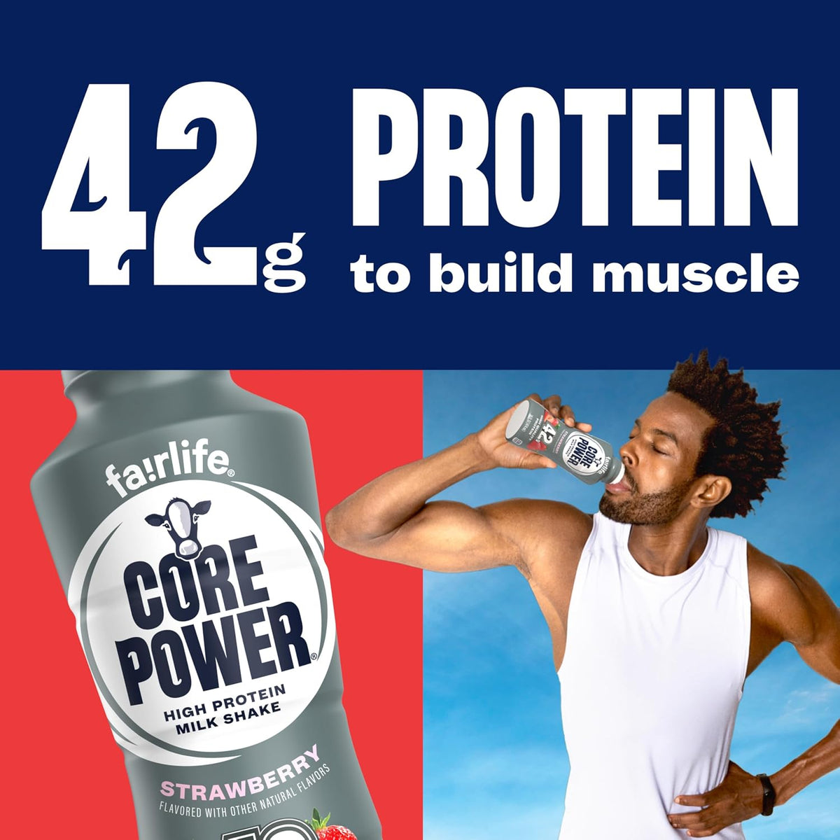 Core Power Fairlife Elite 42g High Protein Milk Shake Bottle , Ready To Drink for Workout Recovery, Strawberry, 14 Fl Oz, Liquid, kosher (Pack of 12)